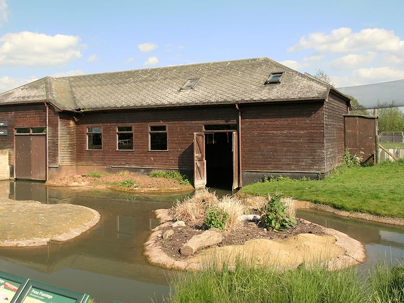 Andean Flamingo House - Slimbridge