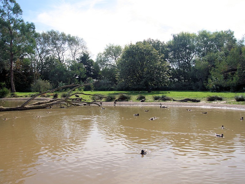 Australia Zone - WWT Slimbridge