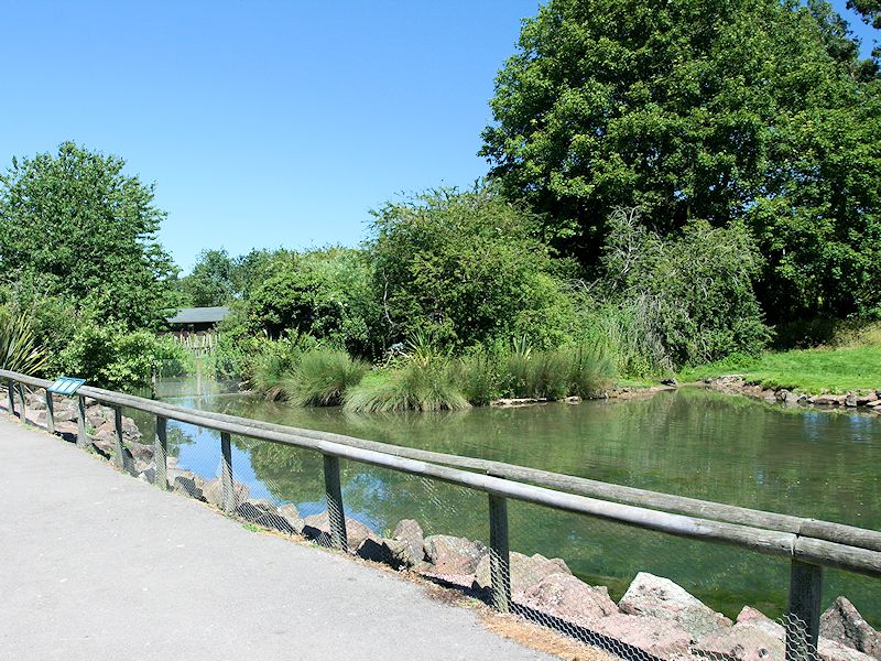 Australia Zone - WWT Slimbridge