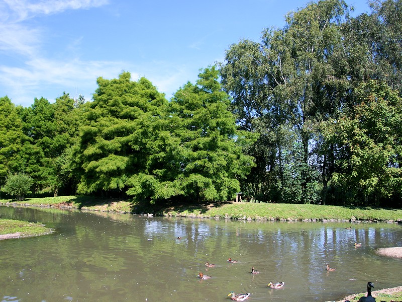 North America Zone - WWT Slimbridge