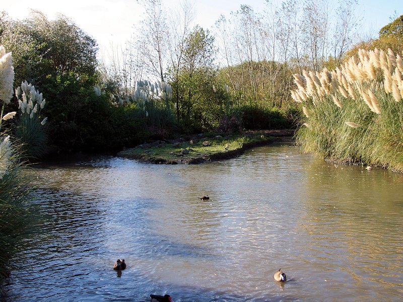 Pampas Pen Zone - WWT Slimbridge