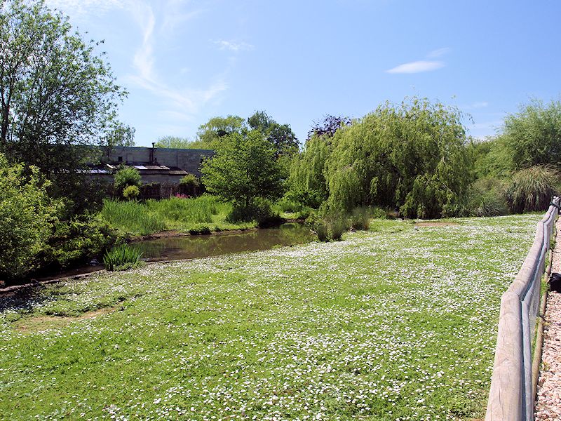 South America Zone - WWT Slimbridge