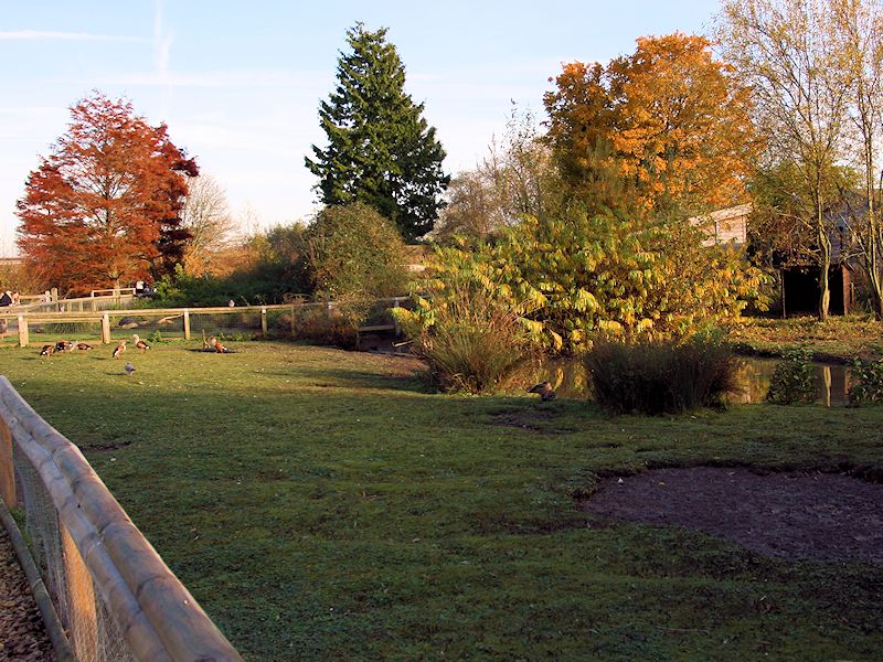 South America Zone - WWT Slimbridge