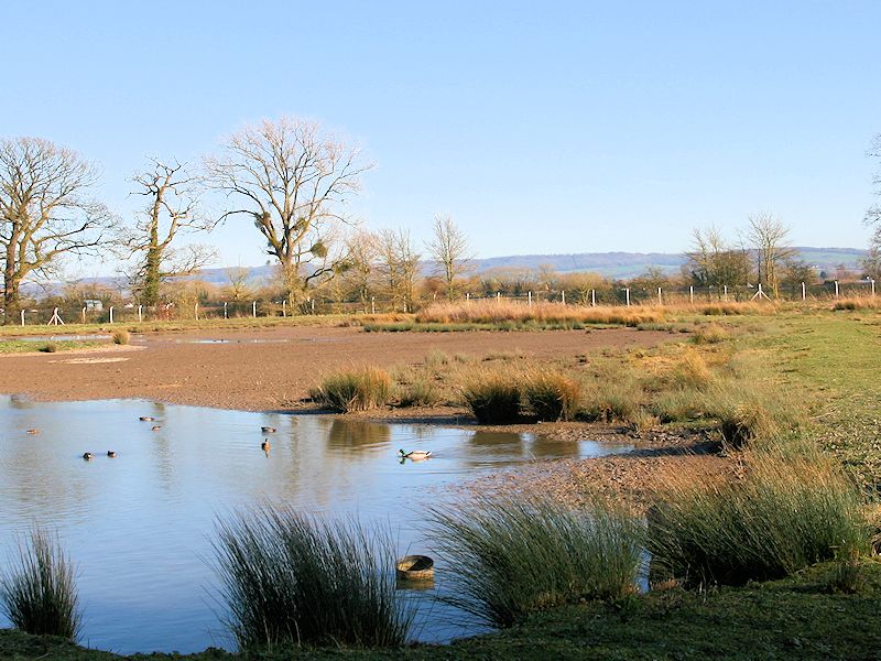 South Lake - Slimbridge