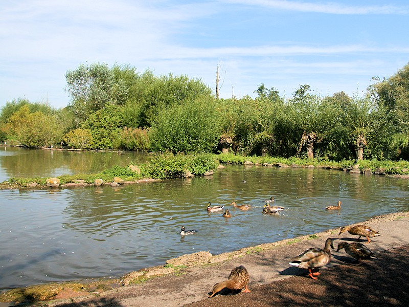 Tundra Zone - WWT Slimbridge