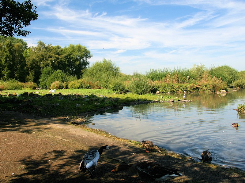 Tundra Zone - Slimbridge