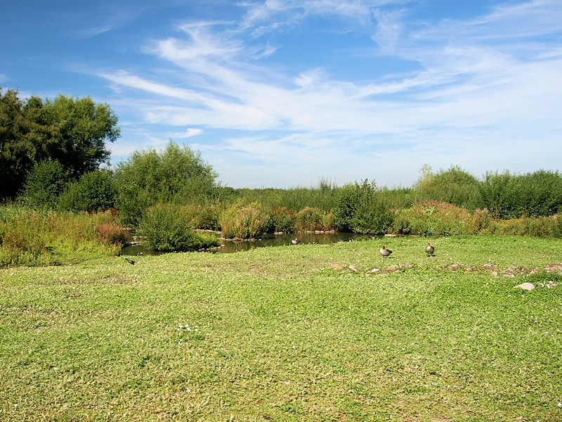 Arctic Tundra Zone - WWT Slimbridge