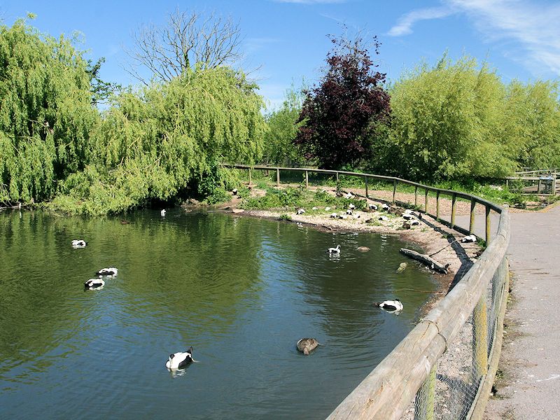 Tundra Zone - WWT Slimbridge