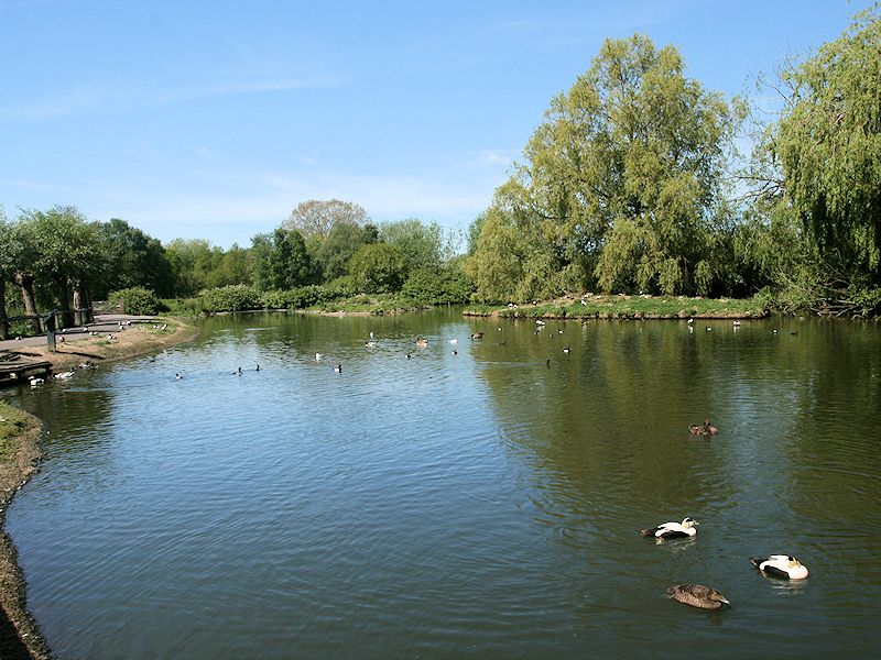 Tundra Zone - WWT Slimbridge